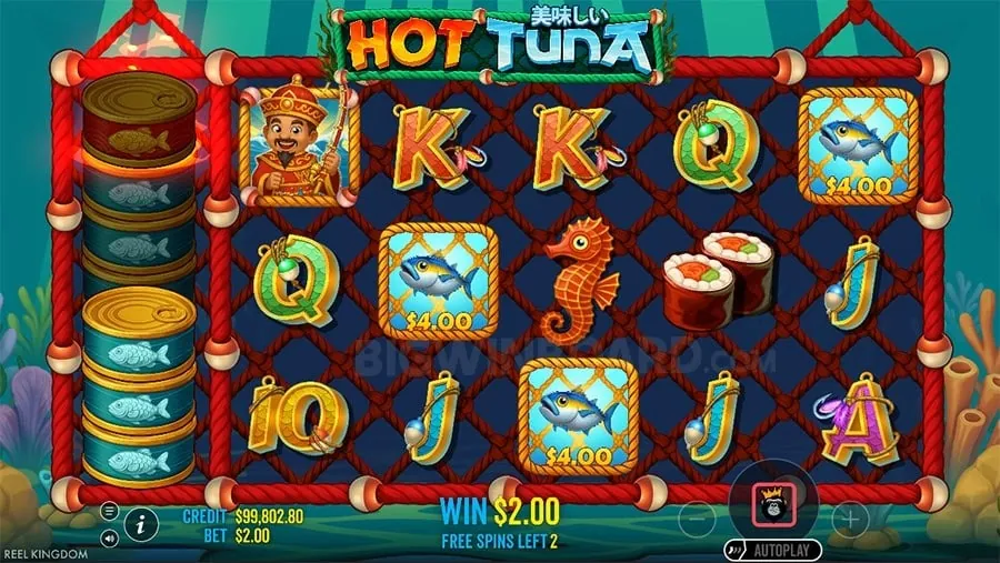 Live Betting Interface